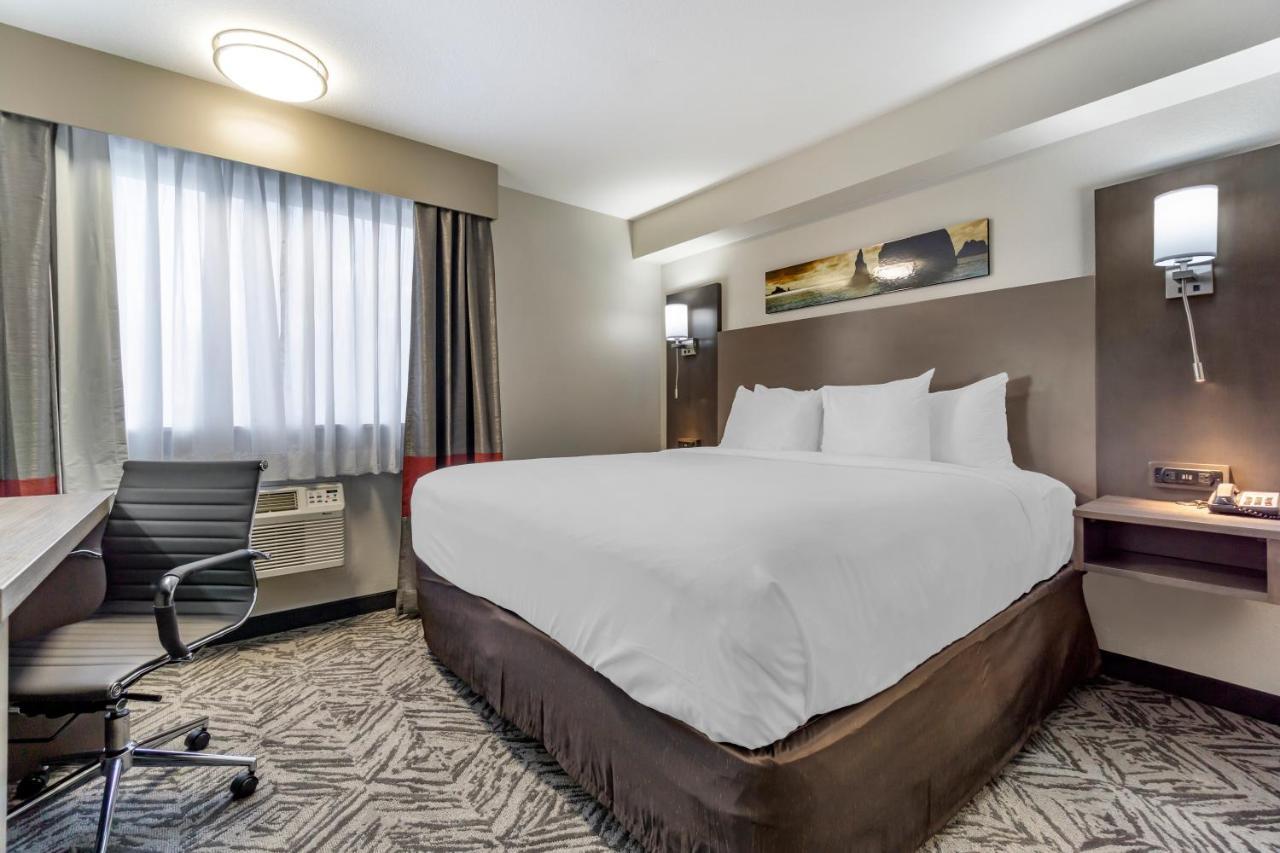 Comfort Inn & Suites Pacific - Auburn Kültér fotó